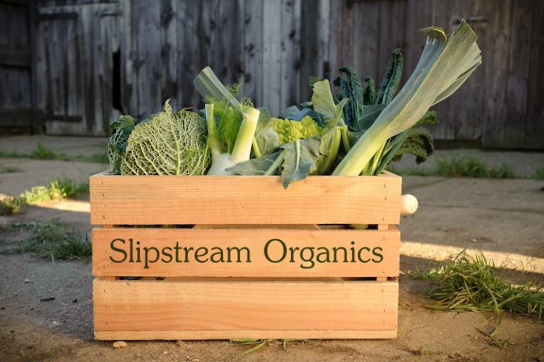 Slipstream Organics Organic Food Delivery Cheltenham, Gloucester