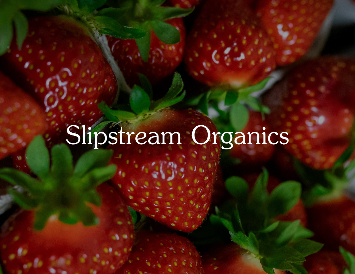 Contact Slipstream Organics Slipstream Organics